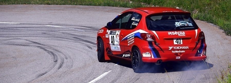 Triangles 206 groupe A peugeot sport - pièces et voitures de course à  vendre, de rallye et de circuit.